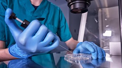 إنجاز قد يغير علاج العقم.. علماء ينجحون في إنتاج أجنة بشرية من خلايا الجلد 