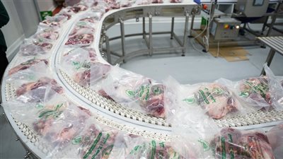 تحت إشراف شيخ الأزهر.. بيت الزكاة يوزِّع لحوم الأضاحي على أكثر من مليون مستحق بالمحافظات