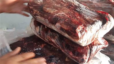 ضبط 150 كجم لحوم فاسدة داخل مطعم غير مرخص.. و65 مخالفة تموينية في يوم واحد بالأقصر