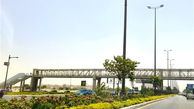 جهاز 6 أكتوبر: مواصلة أعمال تطوير المسطحات الخضراء ضمن خطة شاملة لتحسين الرؤية البصرية والبيئية