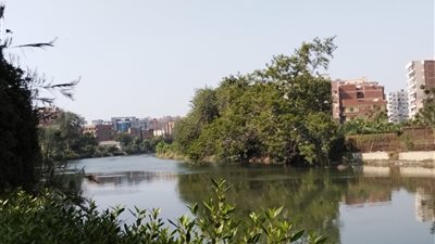 العثور على جثمان شاب في بحر شبين بالمنوفية