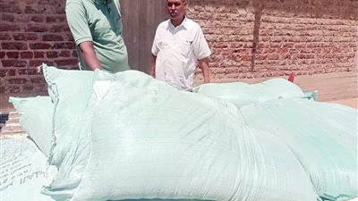 ضبط نصف طن دقيق مدعم داخل مطحن خاص ومخبز بلدي يتلاعب بالرصيد التمويني في الأقصر