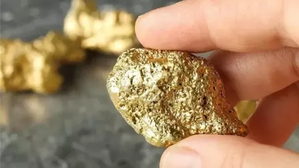  صورة تعبيرية 