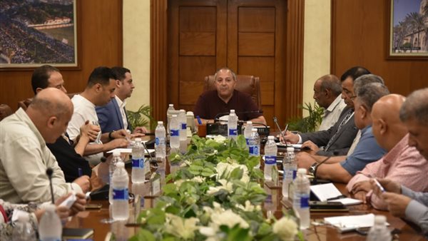 الجهود التنفيذية