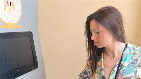 المنظومة الإلكترونية