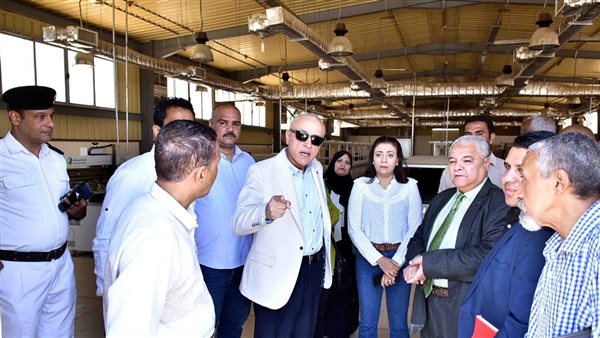 محافظ الأقصر يتفقد