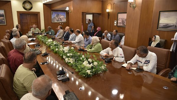 الجهود التنفيذية