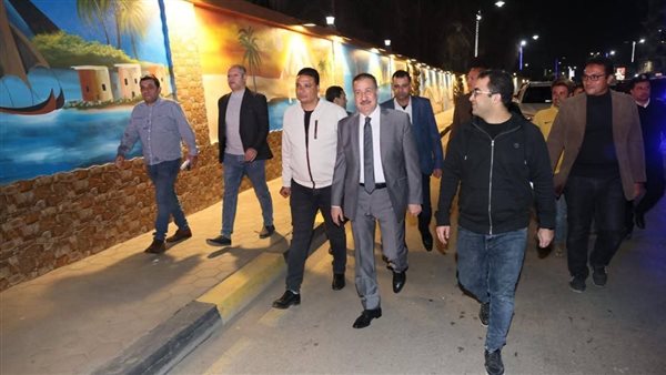 محافظ المنوفية 