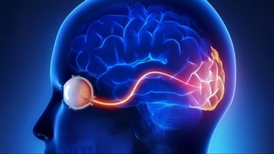 نادر ويصيب الذكور فقط.. ما هو مرض اعتلال العصب البصري الوراثي؟