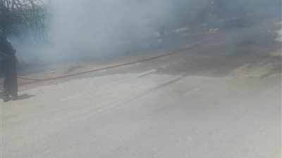 السيطرة على حريق محدود في بعض الأشجار بمركز أخميم بسوهاج