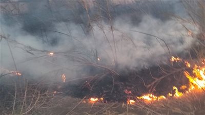 حريق هائل داخل مركز إرسال بطلخا.. والدقهلية تُطمئن المواطنين: لا خسائر بشرية