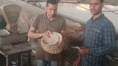 تحرير 67 محضرًا في 24 ساعة وضبط مخالفات جسيمة بالمخابز والأسواق في الدقهلية