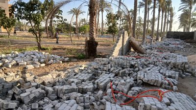 محافظ الجيزة: تنفيذ 25 قرار لإزالة التعديات على أراضي أملاك الدولة والزراعية 