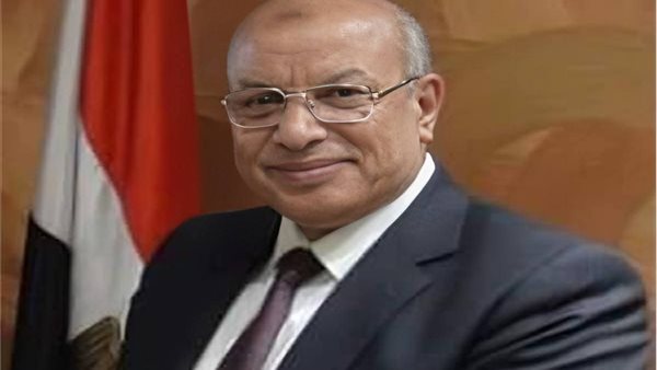  المهندس مصطفى الشيمى