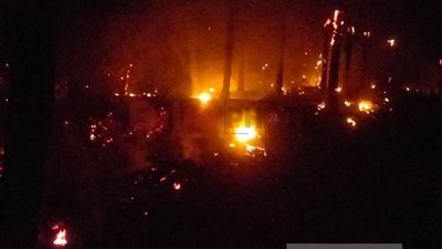 السيطرة على حريق نشب في مزرعة تمور بواحة سيوة دون إصابات