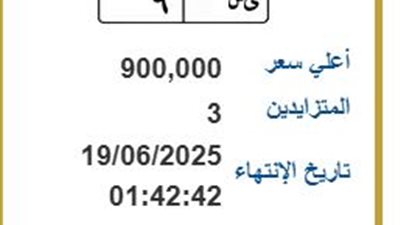 يس 9.. مزاد على لوحة معدنية مميزة للسيارات بسعر يلامس المليون جنيه في مصر