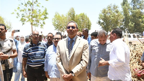 محافظ قنا يشرف على