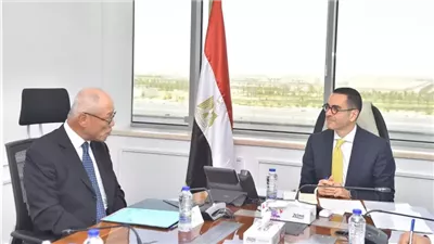 مناقشات مصرية يابانية للاستثمار في مشروعات الطاقة المتجددة وصناعة السيارات والصناعات الدوائية