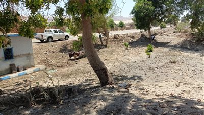 كارثة تحت التحقيق.. مياه الصرف تغزو 9 منازل بنجع الدير بسوهاج | صور