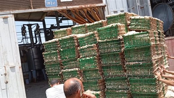  بدء توريد الياسمين