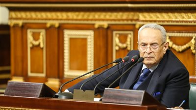 فوز أبو شقة وفيبي فوزي بمقعدي وكيلي مجلس الشيوخ