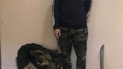 في محاكمة عاجلة.. عامان مع الشغل والنفاذ لصاحب فيديو “السيف والكلب” بتهمة البلطجة بالإسكندرية