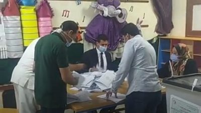 بدء عملية الفرز داخل اللجان الفرعية بحضور وكلاء للمرشحين في سوهاج (صور)