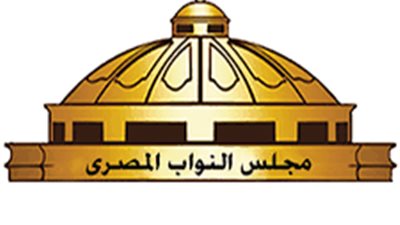 تعرف على أبرز نتائج انتخابات مجلس النواب 2020 والموعد النهائي لإعلانها