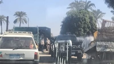 أمن قنا ينجح في فض تجمهر أنصار مرشح قطعوا الطريق اعتراضًا على نتيجة انتخابات مجلس النواب (صور)