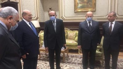 رئيس مجلس الشيوخ يستقبل رئيس مجلس الدولة