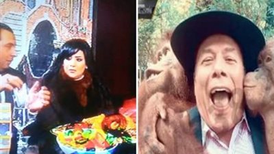 حبس الممثل القانوني لشركة أبليكس “لو راجل كل” سنة وغرامة 900 ألف جنيه