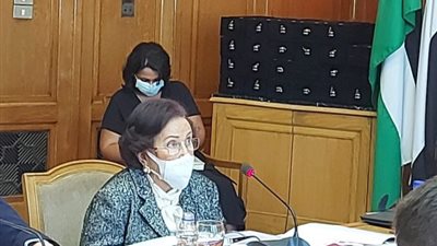 أغلبهم في الصعيد.. يسرية لوزا: دعمنا أكثر من 300 ألف مواطن لمواجهة الفقر