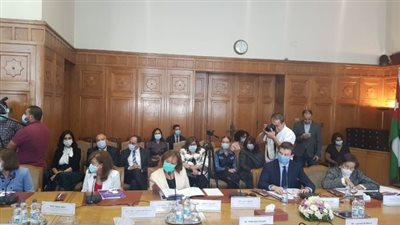 “ممثلة الأمم المتحدة للمرأة”: فيروس كورونا تسبب في زيادة العنف ضد النساء والفتيات