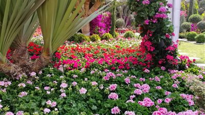 تعرفي على أحدث صيحات ألوان موضة خريف 2020