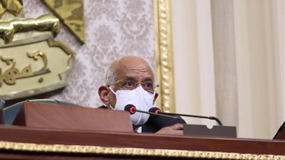 مجلس النواب يوافق على 6 قرارات بشأن الاتفاقيات الدولية