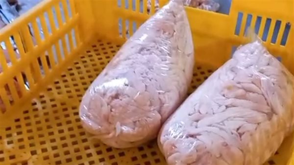 جانب من المضبوطات