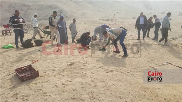 الحفائر الأثرية 