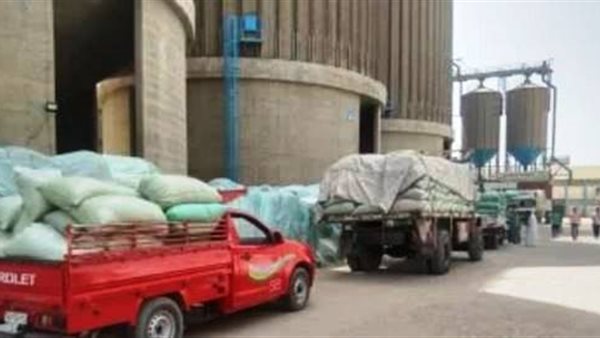 توريد القمح