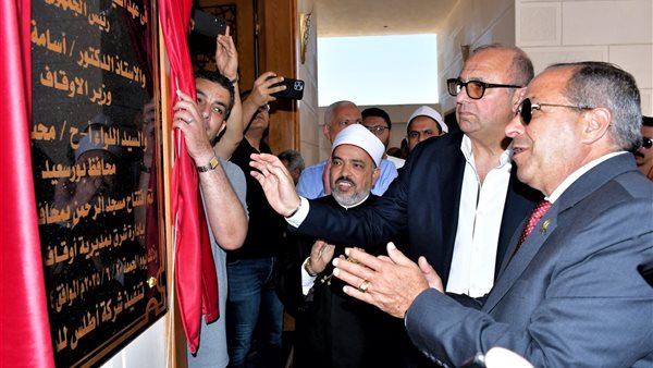 الجهود التنفيذية