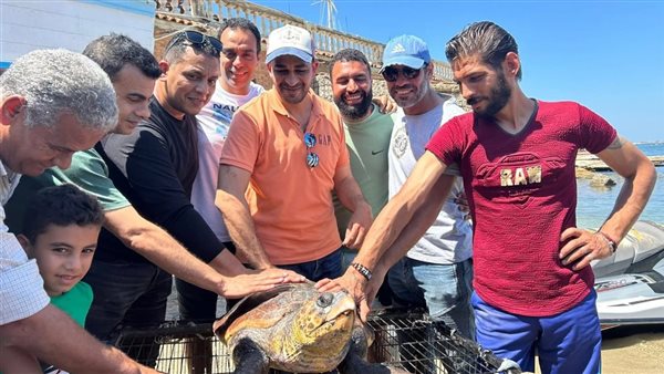 فريق إنقاذ السلحفاة