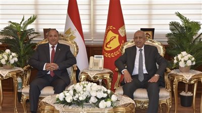 بورسعيد × 24 ساعة| تعاون بين المحافظة والأكاديمية العربية.. وحملات مكثفة لضبط الشارع ومكافحة القوارض