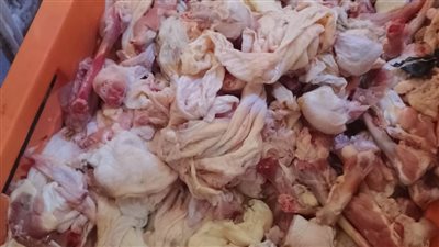 ضبط كمية من أوراك الدواجن غير المطابقة للمواصفات داخل أحد محال في القليوبية 