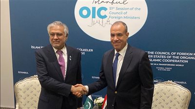 مصر وباكستان: استمرار التصعيد العسكري بين إسرائيل وإيران يزيد حالة التوتر وعدم الاستقرار بالمنطقة