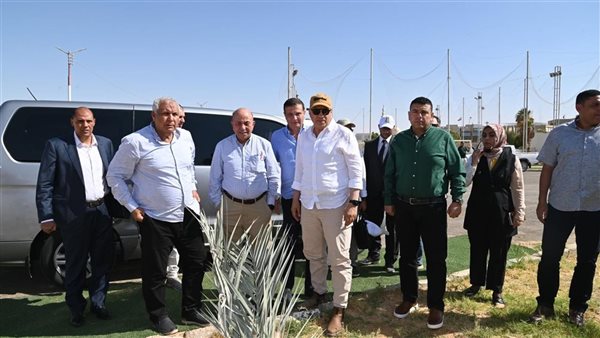 أكبر مزرعة للتمور