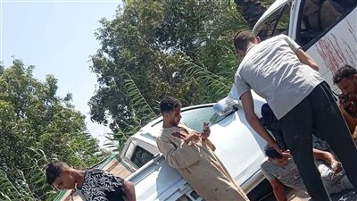 ننشر أسماء المصابين في حادث تصادم ميكروباص وربع نقل بطريق الروضة بالمنيا