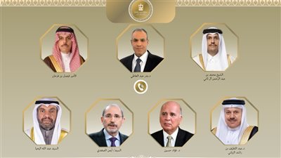 وزير الخارجية يجري اتصالات مع وزراء خارجية قطر والسعودية والبحرين والكويت والعراق والأردن