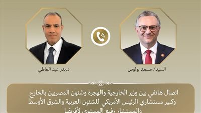 وزير الخارجية وكبير مستشاري ترامب للشؤون العربية وإفريقيا يبحثان الملفات الإقليمية 