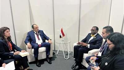 مصر والبنك الإفريقي للتنمية يعززان التعاون في الطاقة والدواء وريادة الأعمال الإفريقية