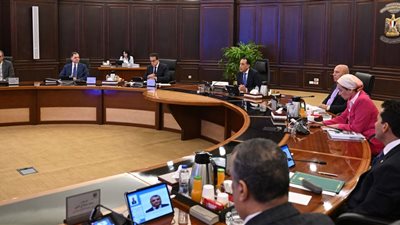 الحكومة توافق على ترقية عاملين بالجهاز الإداري للدولة