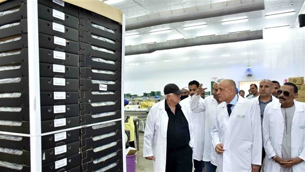 جولة محافظ الأقصر